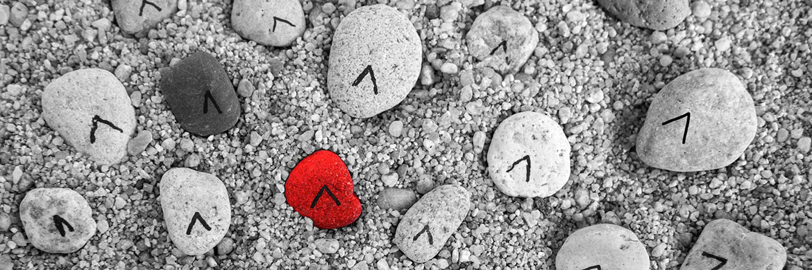 ÖfS Veranstaltungen